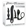 Набор стимуляторов простаты "Intro to prostate kit" купить недорого анонимно круглосуточно Вологда
